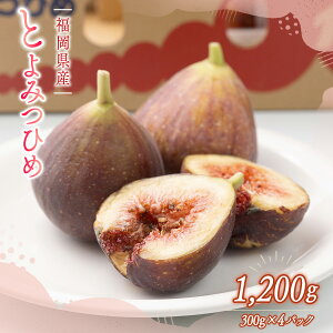 yӂ邳Ɣ[Łz yԌ蔭z  Ƃ݂Ђ 300g 4p 1.2kg [썑t[c  F um40azo970027] C`WN ԉ t[c ʕ