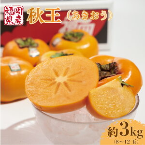 yӂ邳Ɣ[Łz yԌ蔭z ` H 8-12  3kg [썑t[c  F um40azo970029] Y   t[c ʕ 