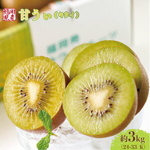 yӂ邳Ɣ[Łz yԌ蔭z LEC Â  3kg [썑t[c  F um40azo970033] Y LECt[c t[c ʕ 