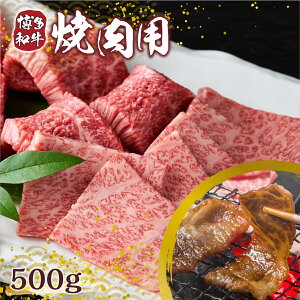 yӂ邳Ɣ[Łz a ēp 500g [MEAT PLUS  F um40azp010003]  ē Ă  [X o  a