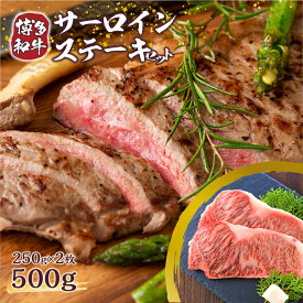 【ふるさと納税】博多和牛 サーロインステーキセット 500g (250g×2枚) 送料無料 牛肉 黒毛和牛 贈り物 贈答 ギフト DX005