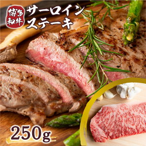yӂ邳Ɣ[Łz a T[C Xe[L 250g 1 [MEAT PLUS  F um40azp010008]  T[CXe[L  a