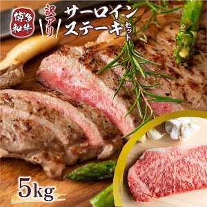yӂ邳Ɣ[Łz 󂠂 a T[C Xe[L 250g×20 v5kg [MEAT PLUS  F um40azp010024] Zbg  T[CXe[L  a