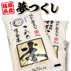 【ふるさと納税】夢つくし 6kg 送料無料 米 白米 食品 自家精米 国産 福岡産 HZ001