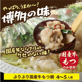【ふるさと納税】もつ鍋 国産 しょうゆ味 4〜5人前 セット [小林食品 福岡県 宇美町 um40azo890004] モツ鍋 鍋 ホルモン 国産牛