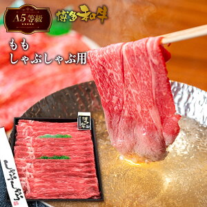 yӂ邳Ɣ[Łz  A5 a  Ԃ 500g [t[Y  F um40azp140004]  a  Ԃ Y Ⓚ