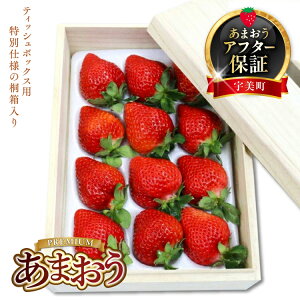 yӂ邳Ɣ[Łz yԌ蔭z  ܂ v~A 400g 1p eBbV^ ˔ [THE FARM_strawberry  F um40azo780008] s\ C`S  t[c ʕ ʎ Â eB