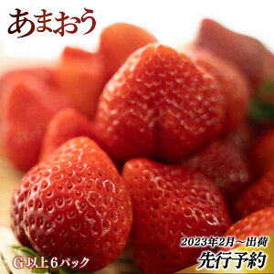 あまおう イチゴの人気商品 通販 価格比較 価格 Com