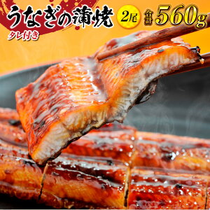 yӂ邳Ɣ[ŁzȂ  2 5lO 560g ^1{t ^ EiM V Ȃ Ă ΂₫ ΏĂ Ⓚ ^pbN N̓ Ђ܂Ԃ ȏd Ș Ђ Hi HHi  
