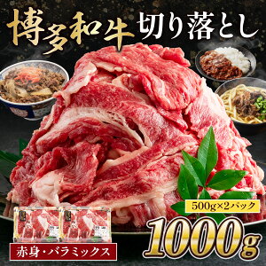 yӂ邳Ɣ[ŁzI a a ؂藎ƂԐgEo~bNX1000g (500gx2pbN) uha  Y BY Y Ԑg  XCX Ⓚ  t[hX   