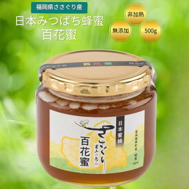 【ふるさと納税】日本蜜蜂「ささぐり里山のはちみつ」（百花蜜）500g 蜂蜜 ハチミツ 国産 日本製 国産蜂蜜 国産ハチミツ 健康 健康食品 瓶 無添加 無農薬 非加熱 純度100% 国産天然蜂蜜 国産非加熱はちみつ 国産無添加はちみつ 生はちみつ　純粋はちみつ 送料無料 AA001