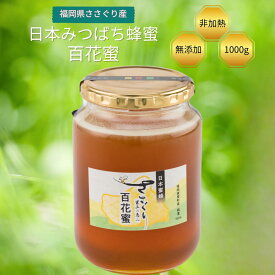 【ふるさと納税】日本蜜蜂「ささぐり里山のはちみつ」（百花蜜）1000g 蜂蜜 ハチミツ 国産 日本製 国産蜂蜜 国産ハチミツ 健康 健康食品 瓶 無添加 無農薬 非加熱 純度100% 国産天然蜂蜜 国産非加熱はちみつ 国産無添加はちみつ 生はちみつ　純粋はちみつ 送料無料 AA002
