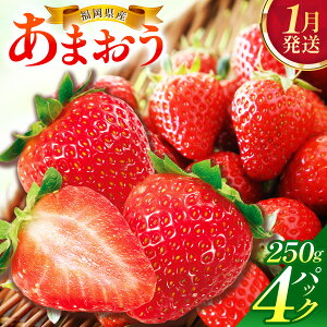 �y�ӂ邳�Ɣ[�Łz�y�I�ׂ锭�����z�������Y���܂�����250g×4�p�b�N | �������Y ���܂��� ������ � �t���[�c �ʕ� �M�t�g �Z�b�g ������ �① �Â� ���� �l�C �u�����h������ �����p ��B