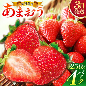 yӂ邳Ɣ[ŁzyIׂ锭zY܂250g×4pbN | Y ܂   t[c ʕ Mtg Zbg  ① Â  lC uh p B