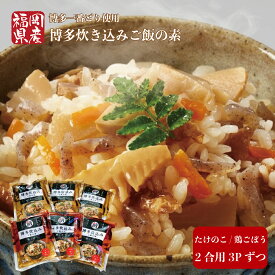 【ふるさと納税】 炊き込みご飯の素 詰め合わせ 6パック 2合用×3袋ずつ（たけのこ・鶏ごぼう） 国産 九州 九州産 福岡県産 筍 竹の子 たけのこ 炊き込みご飯 鶏肉 鳥肉 とり肉 お肉 肉 地鶏 銘柄鶏 鶏ごぼう 詰め合わせ 特産品 お年賀 贈答 ギフト 贈り物 送料無料 BZ007