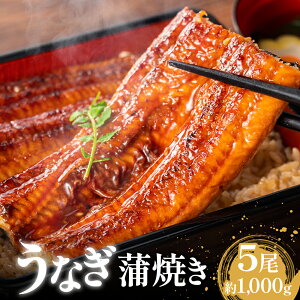 yӂ邳Ɣ[ŁzȂ  5 1000g ^t EiM V Ȃ  Ⓚ RZ001