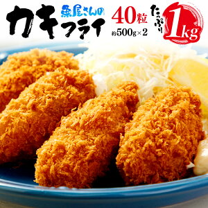 yӂ邳Ɣ[ŁzLY JLtC NX Ղ1kg 500g×2 40 Ɩp y  JL  ֗  y  ܂ ܂ Y LY CN Yi YHi 