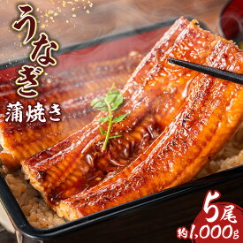 【ふるさと納税】うなぎ 蒲焼 台湾 中国産 5尾 約1000g 1kg タレ付 タレ ウナギ 鰻 うなぎ 蒲焼き かばやき かば焼き 冷凍 真空パック 丑の日 ひつまぶし うな重 うな丼 お茶漬け 食品 加工食品 魚介 水産加工品 国内製造 取り寄せ お取り寄せグルメ グルメ 送料無料 RZ003