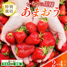 【ふるさと納税】【選べる内容量】福岡県産 特別栽培 あまおう サイズいろいろMIX またはL~2Lサイズ（少し小ぶりサイズ）約1140g or 約570g【1〜4月発送】　農園直送 アフター保証 先行予約 福岡産 送料無料 ケーキ ギフト お祝い 限定 季節限定
