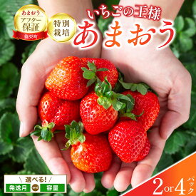 【ふるさと納税】【選べる内容量】いちご 福岡県産 特別栽培 あまおう サイズいろいろMIX またはL~2Lサイズ（少し小ぶりサイズ）約1140g or 約570g【1〜4月発送】　農園直送 アフター保証 先行予約 福岡産 送料無料 ケーキ ギフト お祝い 限定 季節限定