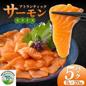 yӂ邳Ɣ[ŁzIׂJbg^CvAgeBbNT[ 540g`900g  CN  Yi 񂽂 ֗