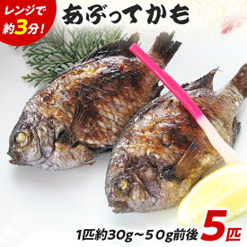 【ふるさと納税】 福岡郷土料理 あぶってかも 5匹 スズメダイ 炙り 焼き魚 魚介類 惣菜 加工品 おかず おつまみ 冷凍 魚 福岡 九州