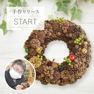yӂ邳Ɣ[Łz  [X START a30cm i` CeA    vU[uh[X  rO 