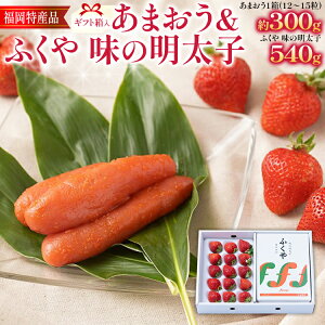 yӂ邳Ɣ[Łz܂ 300g(12-15)Mtg  ӂ□̖q 540g q y ܂ C`S  XC[c ʕ t[c y11{Jn\z   t[c 