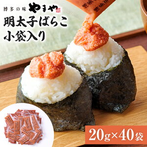 yӂ邳Ɣ[Łz܂ q ΂炱 ܓ (20g×40)@ ƒp ߂񂽂  g؂ ٓ ɂ p y Ⓚ [ AW v`v` 傢  ֗ oR 