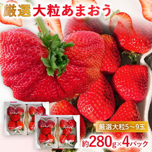yӂ邳Ɣ[Łzy2026Ns\zI嗱܂(280g x 4pbN) 񂹃O   yY B yY  O 