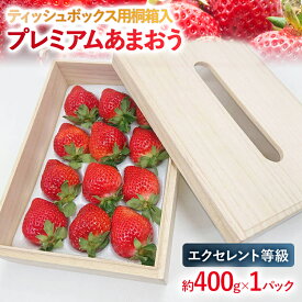 【ふるさと納税】【2026年発送先行予約】ティッシュボックス用特別仕様の桐箱入りプレミアムあまおう　あまおうEX400gx1パック　ギフト、お祝い、贈答用 お取り寄せグルメ お取り寄せ 福岡 お土産 九州 福岡土産 取り寄せ グルメ 福岡県