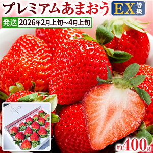 yӂ邳Ɣ[Łzy2026Ns\zv~A ܂ EXiϔj t[c ʕ ܂ 400g×1pbN  C`S Mtg p 蕨 j j ϔ y