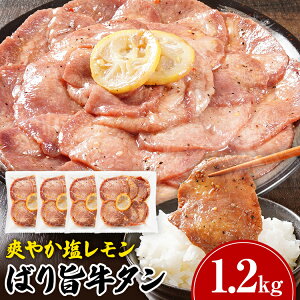 yӂ邳Ɣ[Łz ^  lC Iׂ 600g 1.2kg   ybp[    ΂| XCX 300g×2pbN^4pbN ^ ^  ē Ă I BBQ Ⓚ