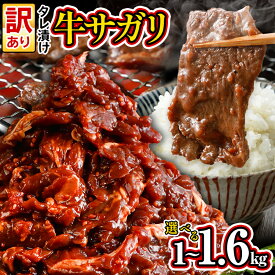 【ふるさと納税】訳あり 選べる 牛肉 牛サガリ 小分け 切り落とし 焼肉 1kg 1.6kg 希少部位 旨だれ お試し 味付け さがり 大容量 真空パック 本場のタレ ハラミ BBQ キャンプ 牛ハラミ 焼くだけ 焼肉 ご飯がすすむ 晩御飯 甘口 丼 焼き肉 不揃い レビューキャンペーン