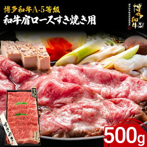 yӂ邳Ɣ[Łza A-5 a[XĂp 500g  a uh Ă   r[t A5N Mtg 蕨 Hi  ttH [X