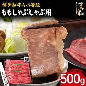 yӂ邳Ɣ[Łza A-5 Ԃԗp 500g  a uh Ԑg  Ԃ  r[t A5N Mtg 蕨 Hi  