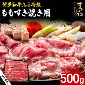 yӂ邳Ɣ[Łza A-5 Ăp 500g  a uh Ă   r[t A5N Mtg 蕨 Hi   XCX 傫 Ƃ
