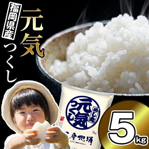 yӂ邳Ɣ[Łz qߘa6NYrY uCv 5kg NP002-2y  {b z