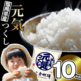【ふるさと納税】〈令和6年産〉福岡県産米 「元気つくし」 10kg NP003-3【 福岡県 須恵町 】