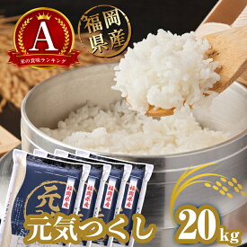 【ふるさと納税】【数量限定！】 福岡県産 米「 元気つくし 」 20kg NP006-0 ～ 白米 ごはん お米 小分け 令和6年 2024 ブランド 食味 A 数量限定 人気 単一原料米 銘柄米 20kg ～【福岡県 須恵町】