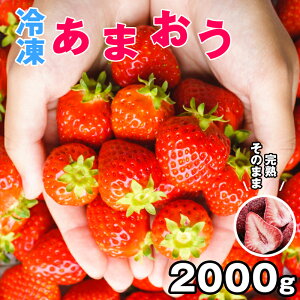 yӂ邳Ɣ[ŁzyʌzY Ⓚ ܂ 2kg TY005-2y {bz