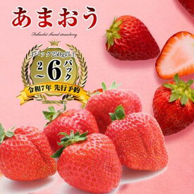 【ふるさと納税】【2025年 令和7年 先行予約】 福岡県産 あまおう 選べるパック数 6パック 4パック 2パック アフター保証 博多 ブランド SF053-0 【福岡県 須恵町】