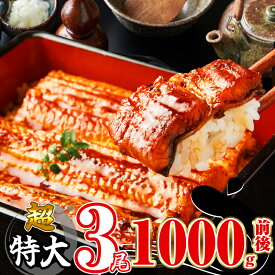 【ふるさと納税】 3尾 1000g前後 うなぎ ふっくらジューシー 有頭うなぎ蒲焼 真空 特大 鰻 1尾ずつ 小分け 人気 タレ付き ランキング SF012-0 【 福岡県 須恵町 】
