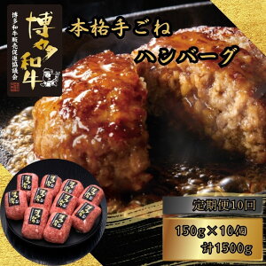 yӂ邳Ɣ[Łza100 {i育˃no[O 150g×10 Iׂ锭  [HS031-0] vcXy{bz