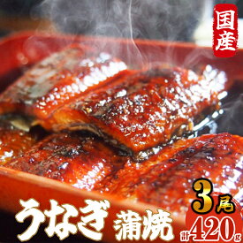 【ふるさと納税】《 国産 》 ふっくら 肉厚 うなぎ蒲焼 3尾 420g SF064-1【 福岡県 須恵町 】