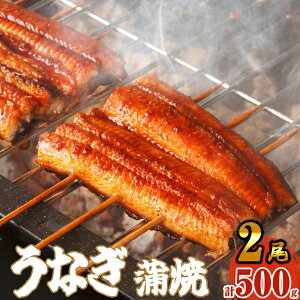 yӂ邳Ɣ[Łz 2 700gO Ȃ ӂ LȂ SF010-2 ` ^ V 1  lC ^t ` y  {b z