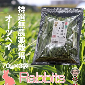 【ふるさと納税】［無農薬栽培・うさぎ用ペットフード］特選オーツヘイ 70g×3袋 RB001-1【福岡県 須恵町】