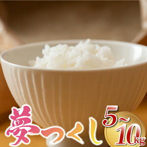 yӂ邳Ɣ[Łzys\zʌqߘa7NYrY5kg~10 [MY001-0] ēs炢y{bz V