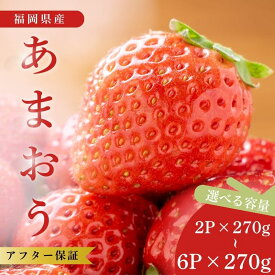 【ふるさと納税】【先行予約】福岡県産あまおう 選べる 2パック～6パック ※年内発送 農家直送 冬あまおう [TY012-0] ※配送不可：北海道・沖縄・離島【福岡県須恵町】いちご イチゴ 苺 フルーツ 果物 国産 九州 送料無料