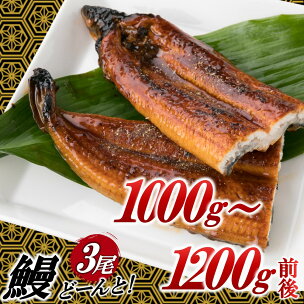うなぎの蒲焼3尾（計1,000g〜1,200g前後）【1〜...